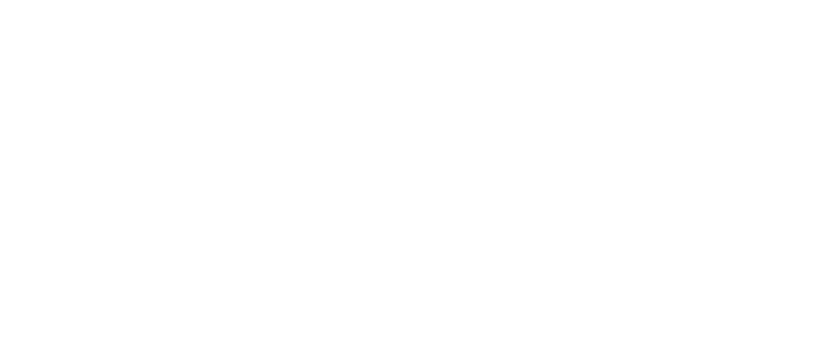 cruiserdash Logo